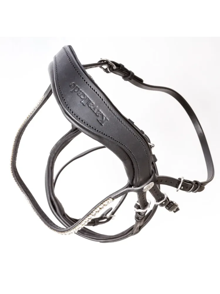 Bridle Everness Oiled Leather Kavalkade