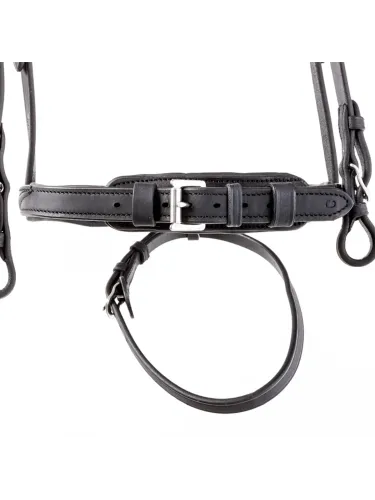 Bridle Everness Oiled Leather Kavalkade