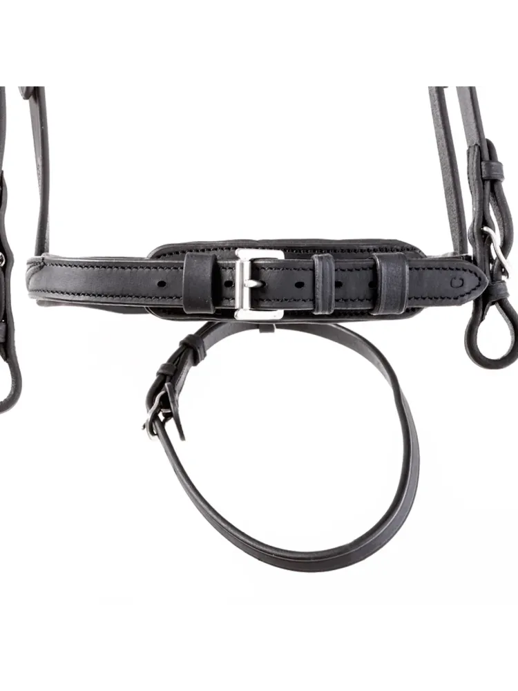Bridle Everness Oiled Leather Kavalkade