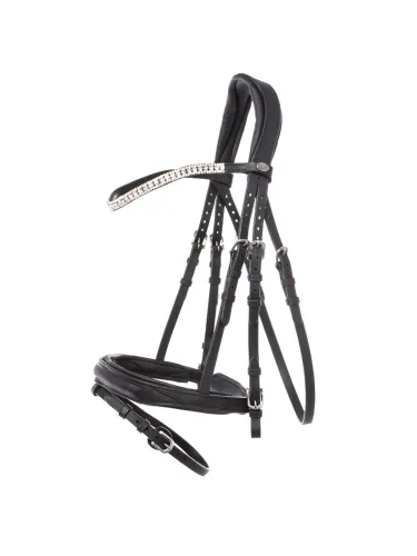 Bridle Everness Oiled Leather Kavalkade