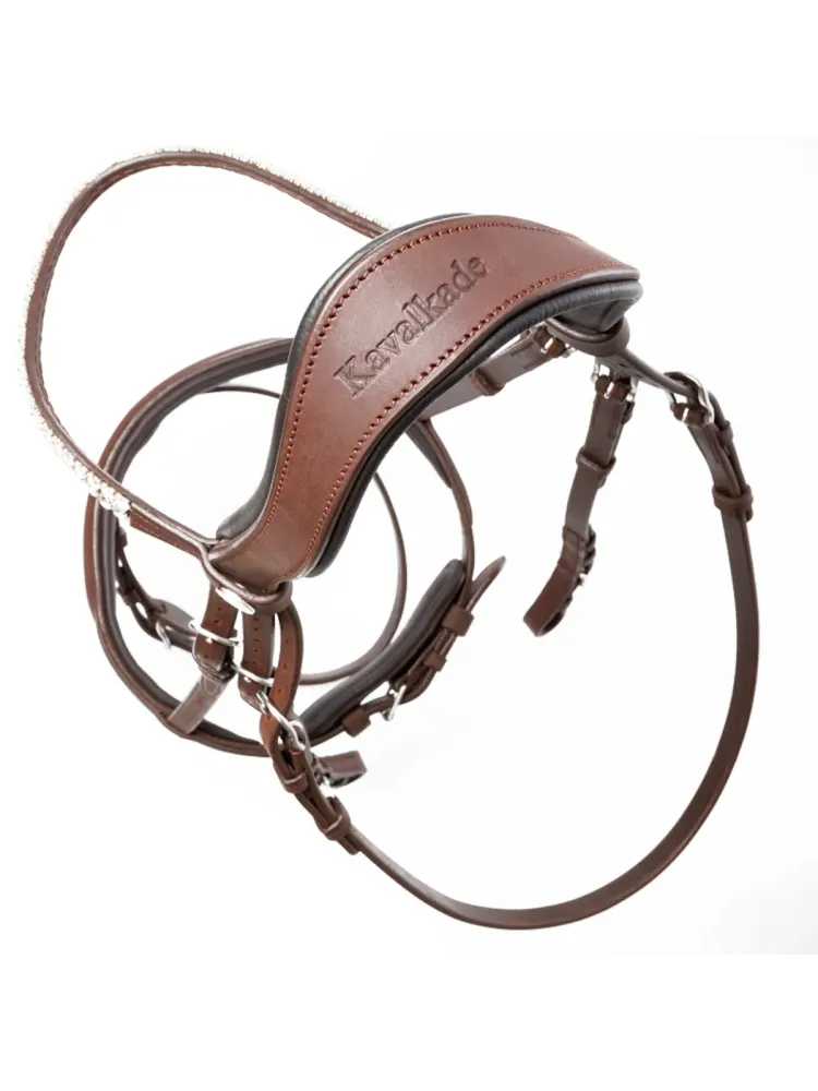 Bridle Everness Oiled Leather Kavalkade
