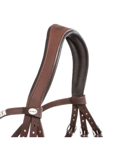 Bridle Everness Oiled Leather Kavalkade