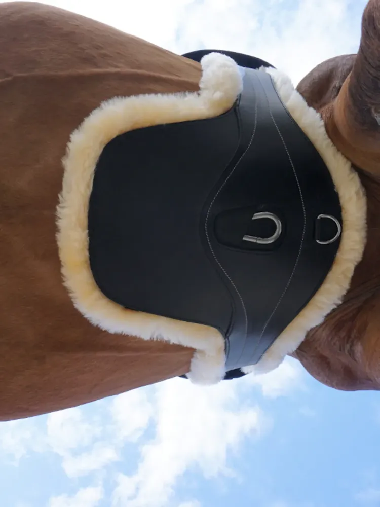 Girth Studguard Excellence Lambskin Kavalkade