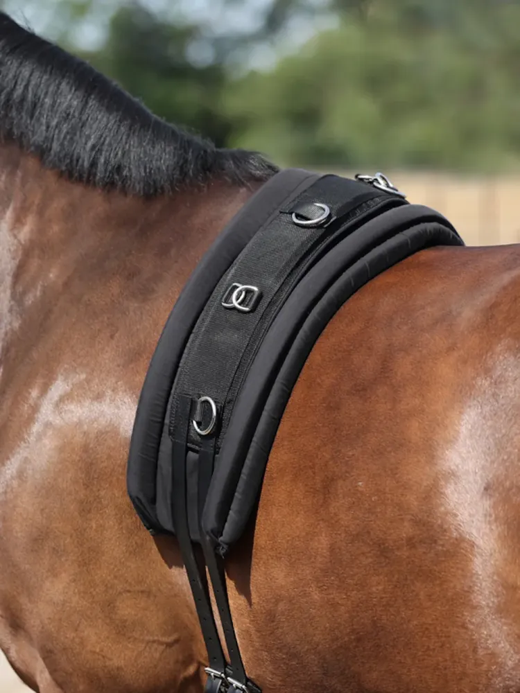 Lungeing girth pad Kavalkade