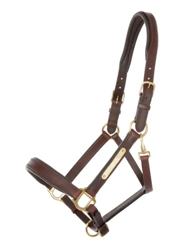 Leather halter Cinta Kavalkade