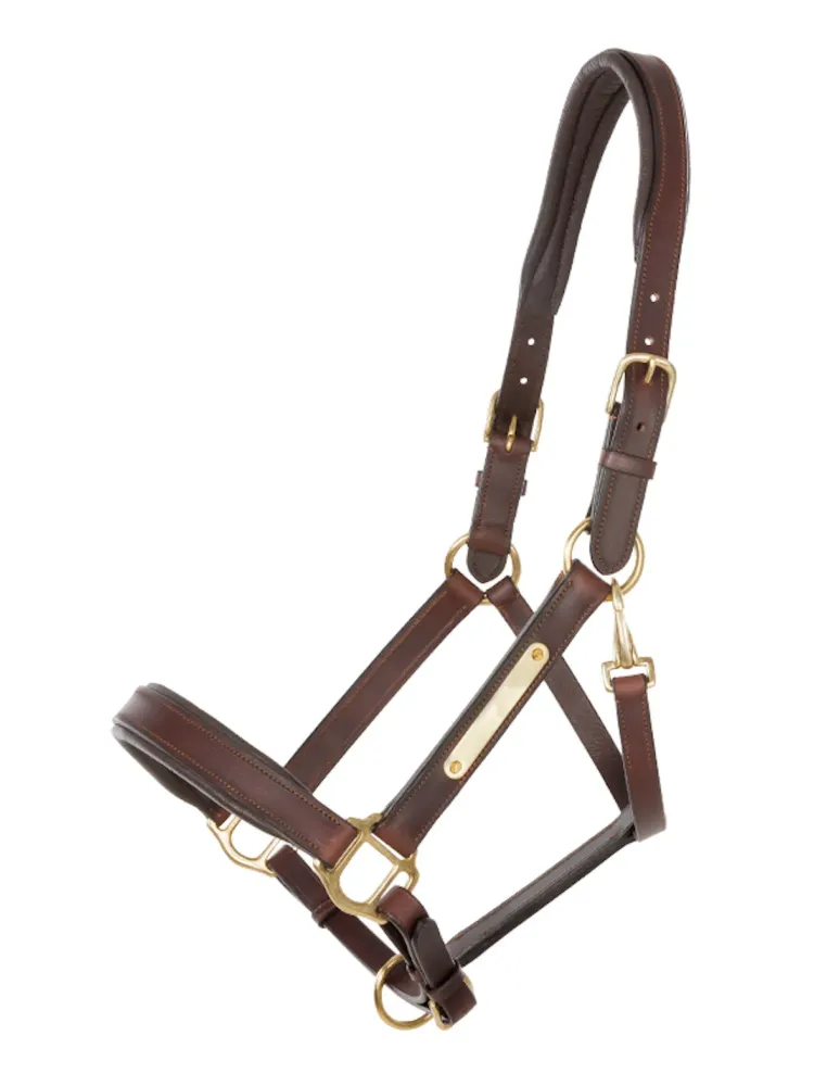 Leather halter Cinta Kavalkade