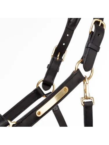 Leather halter Cinta Kavalkade