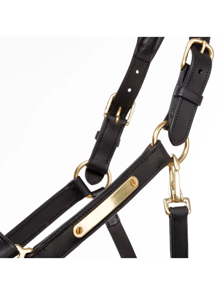 Leather halter Cinta Kavalkade