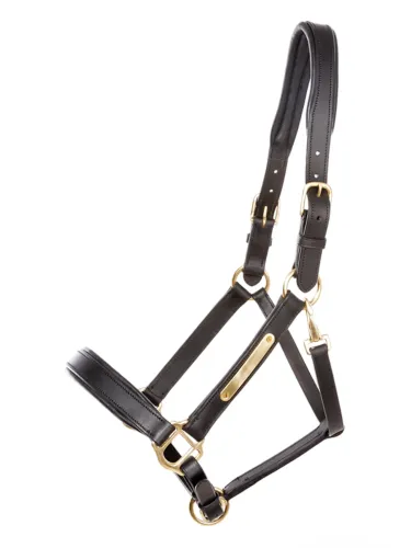 Leather halter Cinta Kavalkade