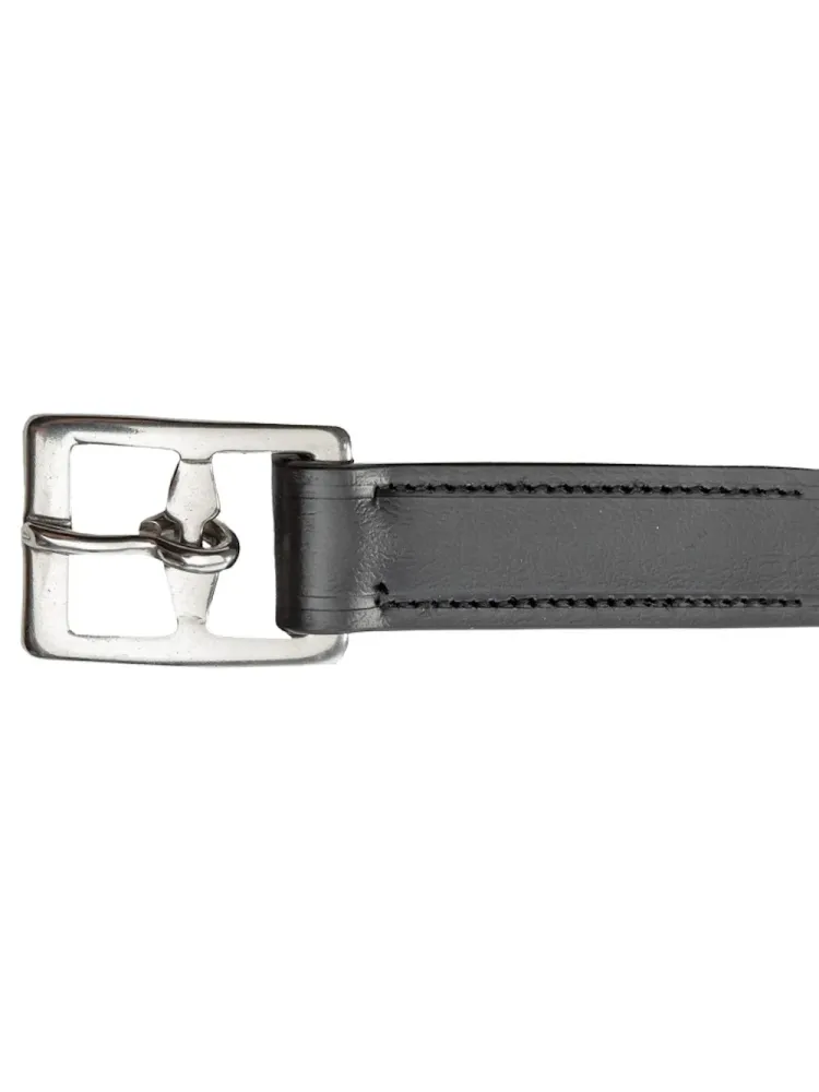 Stirrup leathers Biothane Kavalkade