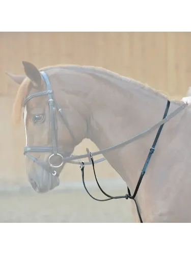 Martingale Stoppers Kavalkade