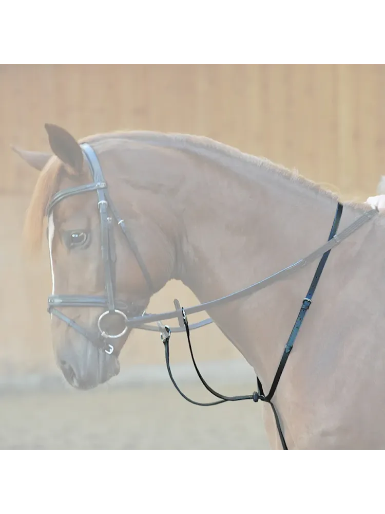 Martingale Stoppers Kavalkade