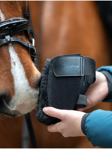 Protector SafeHeel Kavalkade