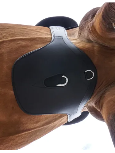 Stud guard Standard Elastic Kavalkade