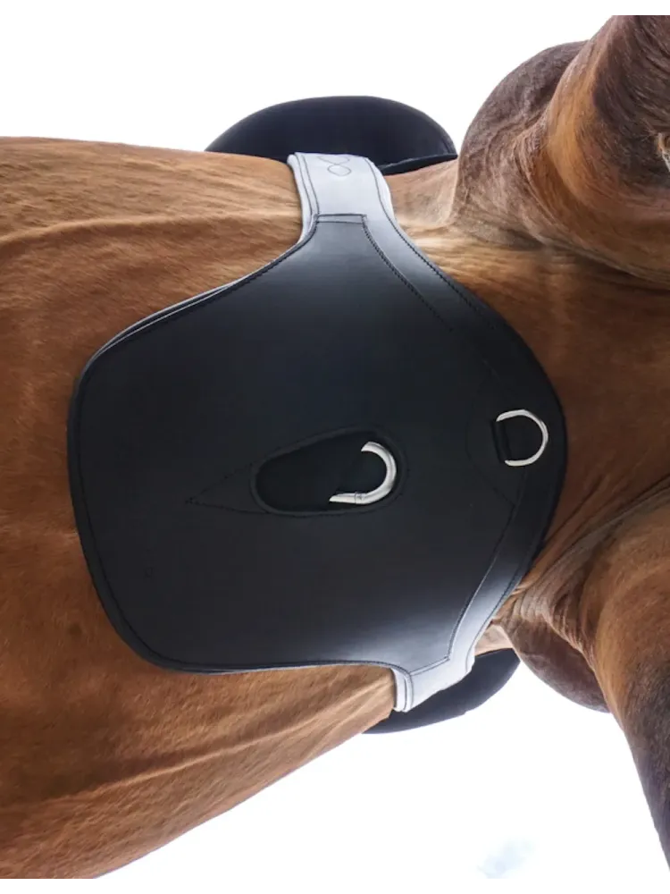 Stud guard Standard Elastic Kavalkade