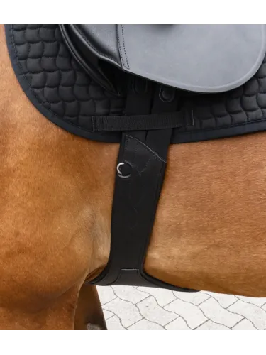 Stud guard Standard Elastic Kavalkade