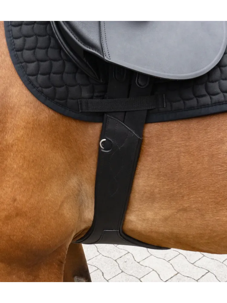 Stud guard Standard Elastic Kavalkade