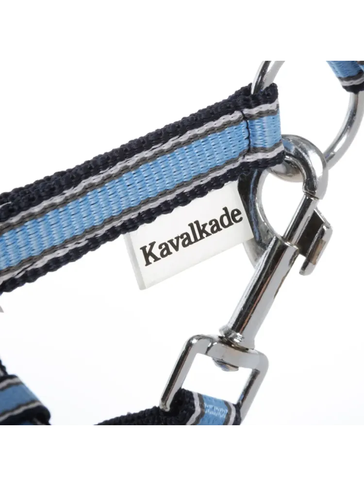 Halter Shetty Shorty Kavalkade