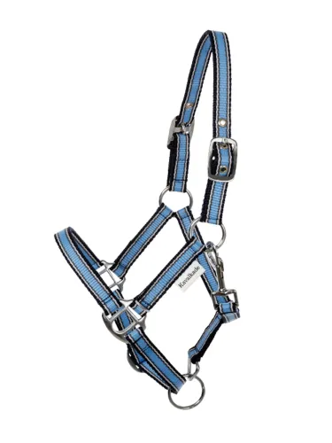 Halter Shetty Shorty Kavalkade