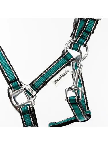 Halter Shetty Shorty Kavalkade