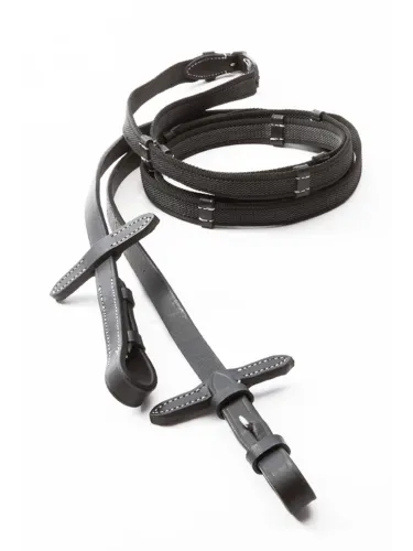 Bridle Ivy Plus Kavalkade