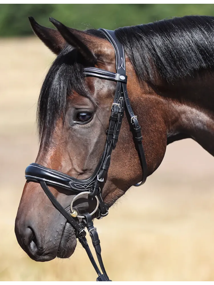 Bridle Ivy Plus Kavalkade