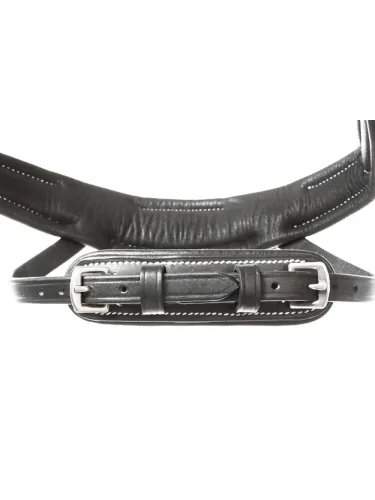 Bridle Ivy Plus Kavalkade