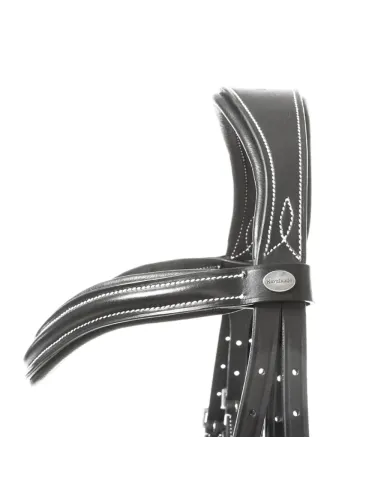 Bridle Ivy Plus Kavalkade