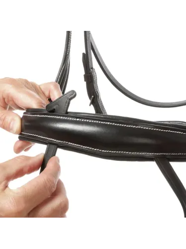 Bridle Ivy Plus Kavalkade