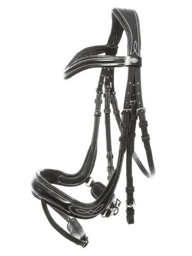 Bridle Ivy Plus Kavalkade