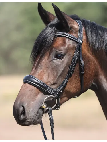 Bridle Ivy Plus Kavalkade
