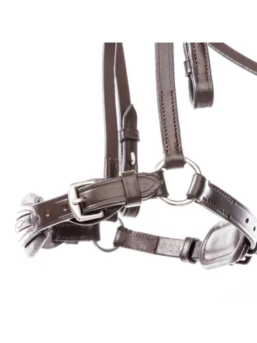 Bridle Levana Kavalkade