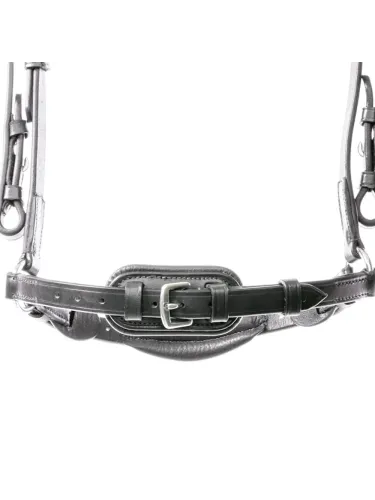 Bridle Levana Kavalkade