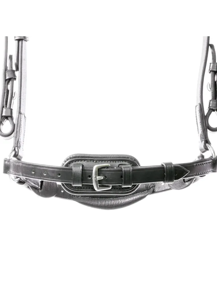 Bridle Levana Kavalkade