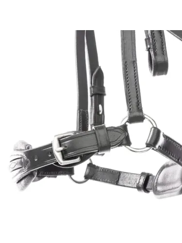 Bridle Levana Kavalkade