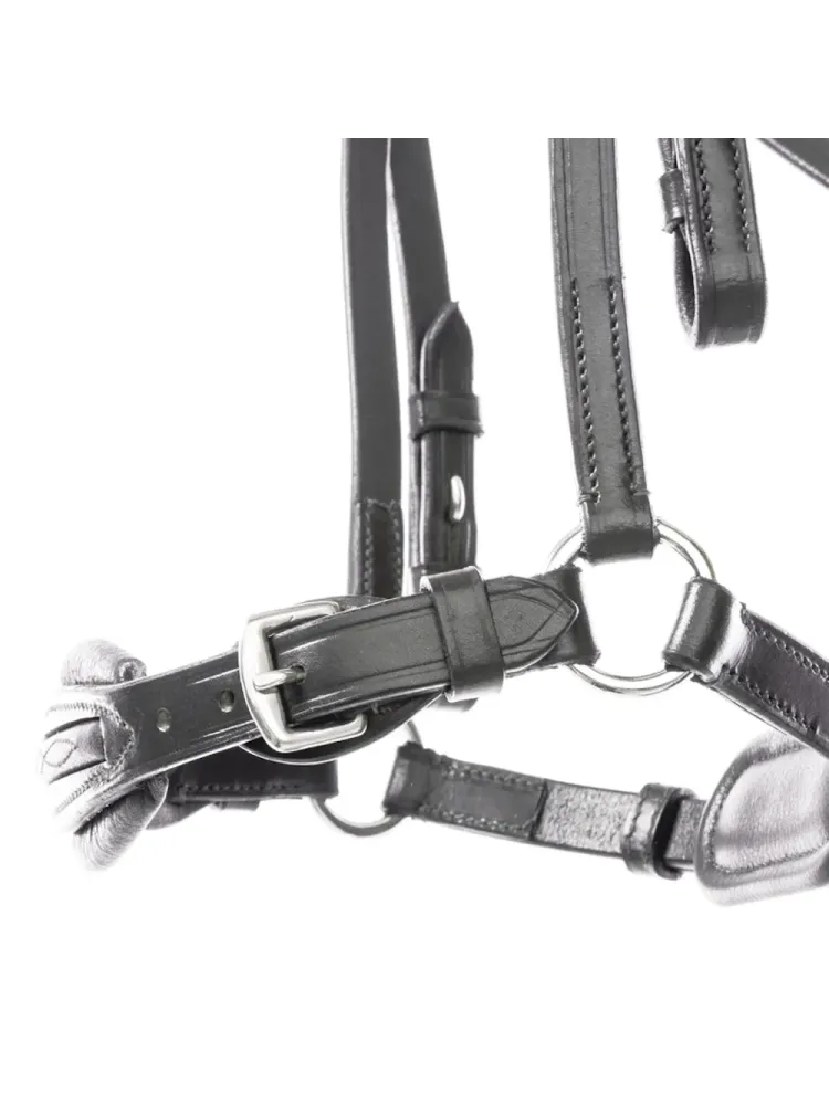 Bridle Levana Kavalkade