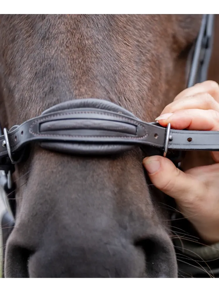 Bridle Levana Kavalkade