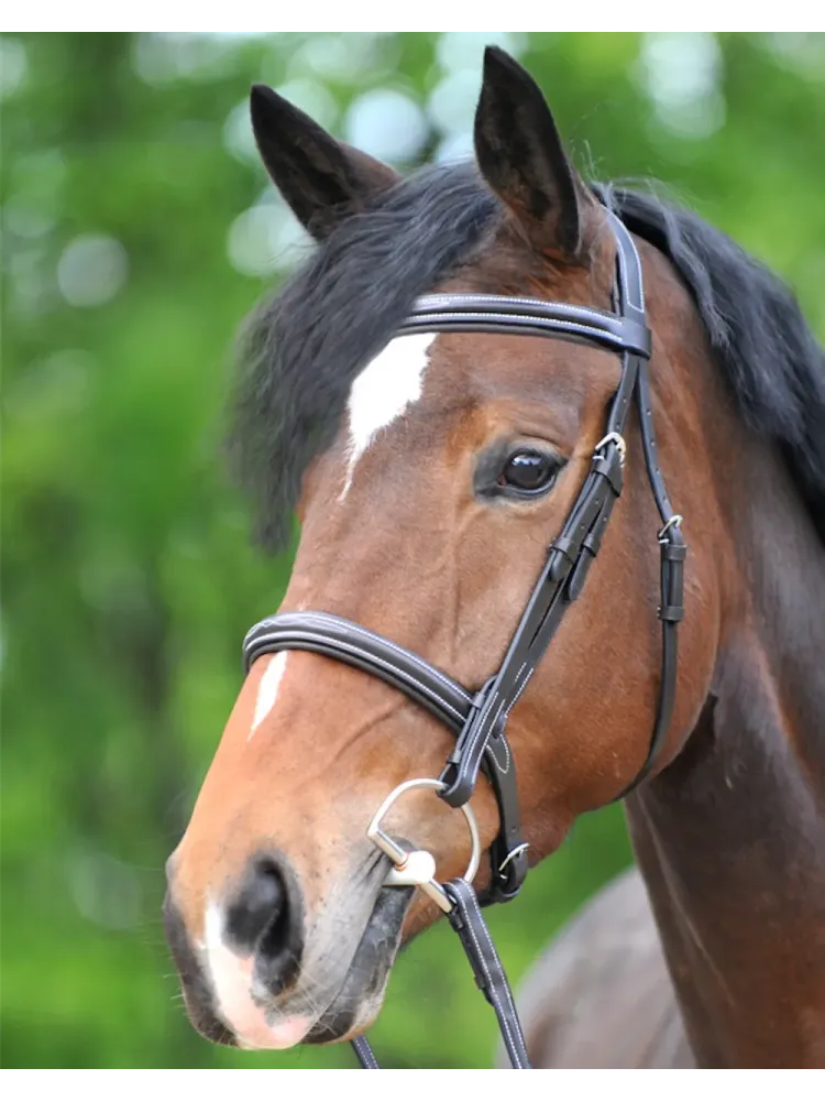 Bridle Akila Hunter Kavalkade