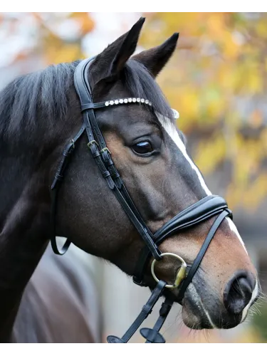 Bridle Juliana Patent Kavalkade