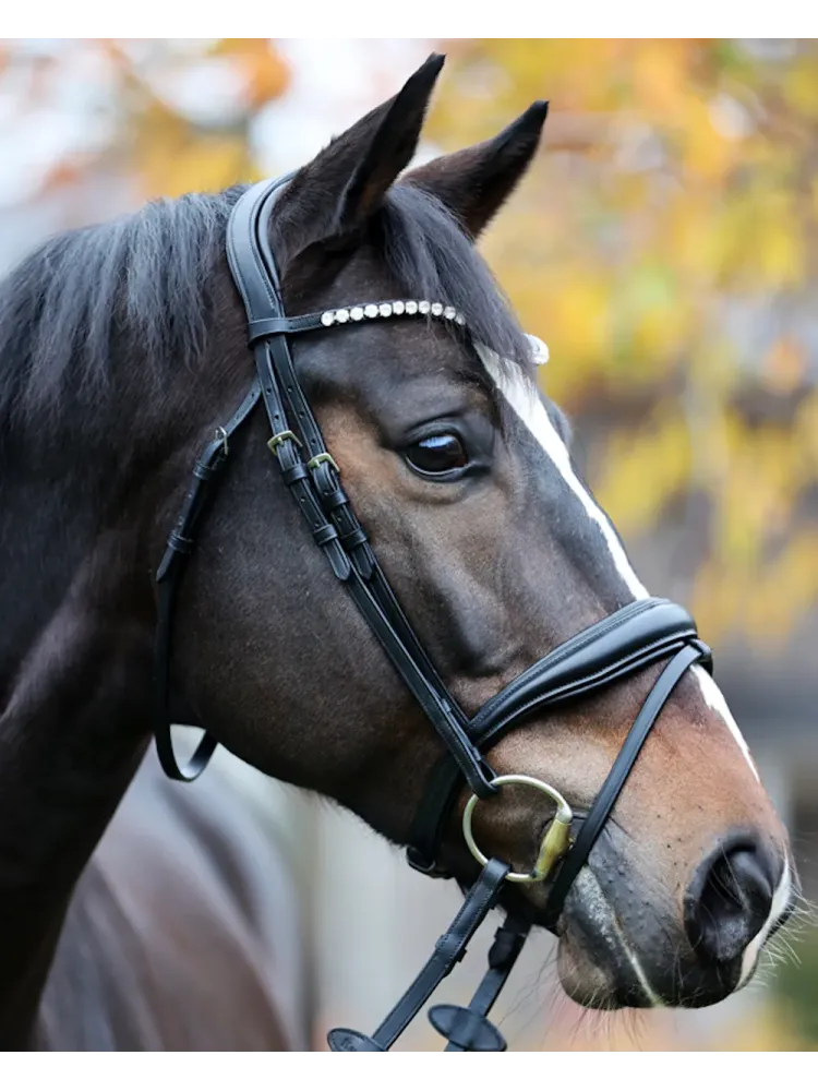 Bridle Juliana Patent Kavalkade