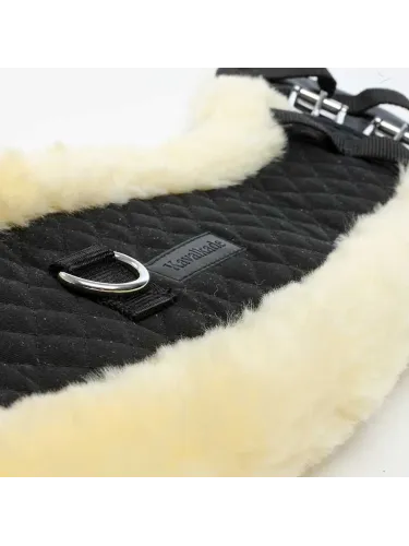 Short girth Moon Lambskin Kavalkade