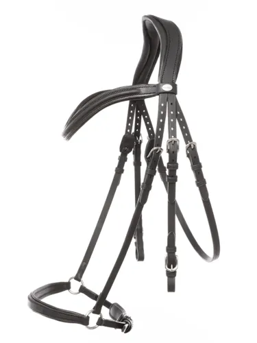Bridle Everana Hannover Kavalkade