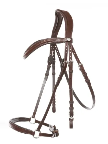 Bridle Everana Hannover Kavalkade