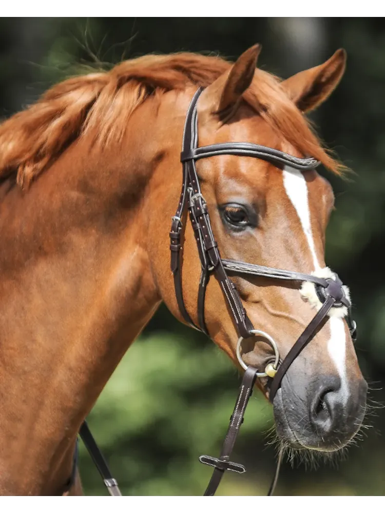 Bridle Diandro Mexican Kavalkade