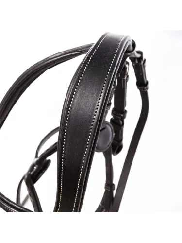Bridle Diandro Mexican Kavalkade
