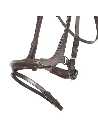 Bridle Ivy Kavalkade