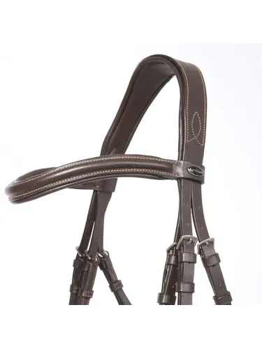 Bridle Ivy Kavalkade