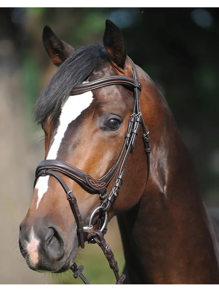 Bridle Ivy Kavalkade