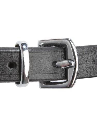 Bridle Isabella Hanoverian Kavalkade