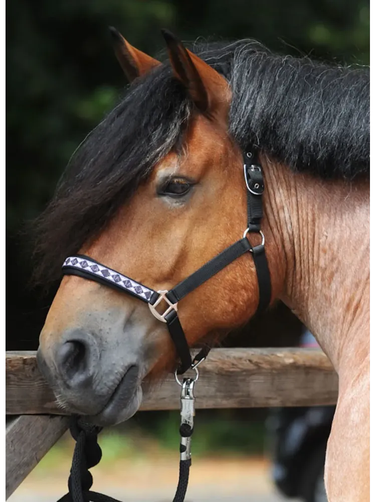 Halter Draft Horse Classic Kavalkade